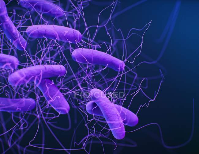 Digital 3d illustration of rod-shaped bacteria Clostridioides difficile. — Stock Photo