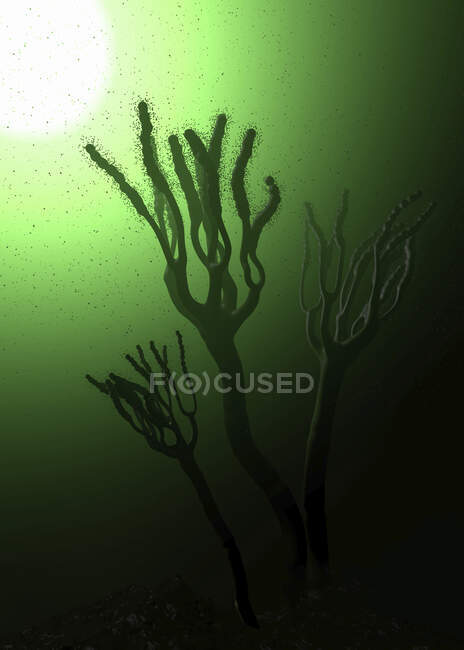 Fungus releasing spores, computer illustration — Stock Photo