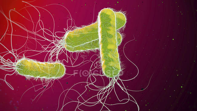 Bactérias resistentes aos antibióticos Pseudomonas aeruginosa rod-shaped, ilustração digital 3d . — Fotografia de Stock