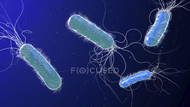 Antibiotikaresistente Pseudomonas aeruginosa stäbchenförmige Bakterien, digitale 3D-Illustration. — Stockfoto