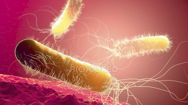 Pseudomonas aeruginosa resistente agli antibiotici batteri a forma di verga, illustrazione digitale 3d . — Foto stock