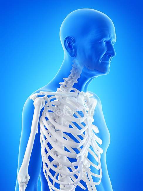 Illustrazione digitale dell'anatomia dell'uomo anziano che mostra lo scheletro
. — Foto stock