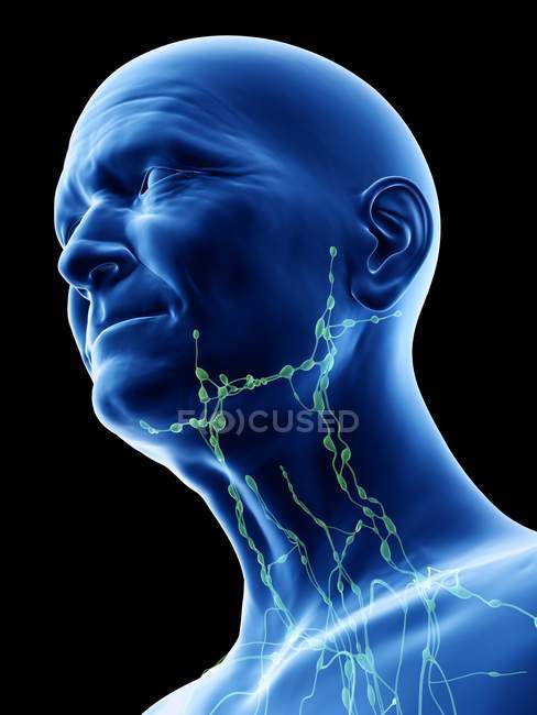 Ilustração digital de linfonodos de garganta de homem sênior . — Fotografia de Stock