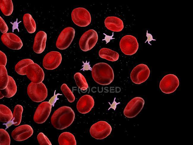 Красные клетки крови и тромбоциты, компьютерная иллюстрация
. — стоковое фото