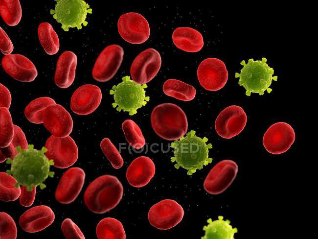 Globules rouges et particules virales, illustration informatique
. — Photo de stock