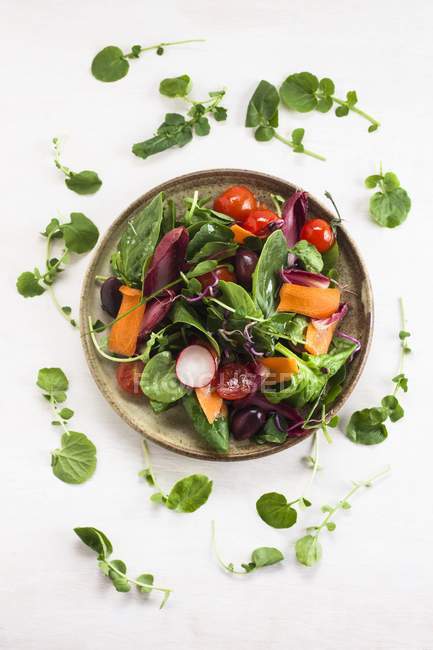 Salade de légumes crus sur assiette ronde sur table blanche . — Photo de stock