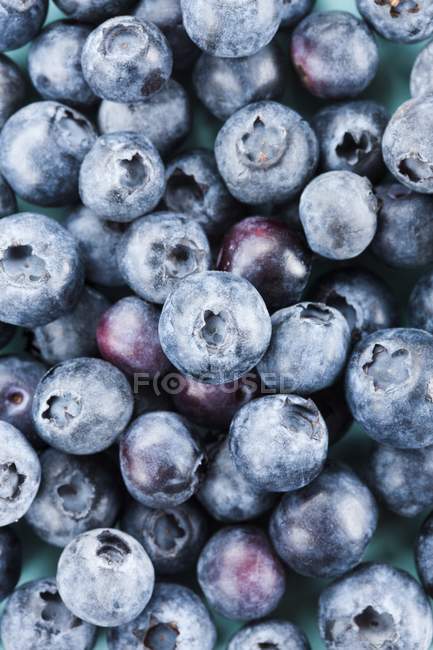 Blueberries in close-up and full frame, studio shot. — Stock Photo