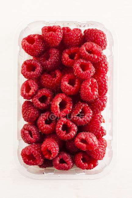 Recipiente de plástico cheio de framboesas vermelhas frescas . — Fotografia de Stock