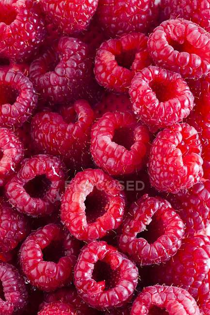 Close-up of red ripe fresh raspberries in full frame. — Stock Photo