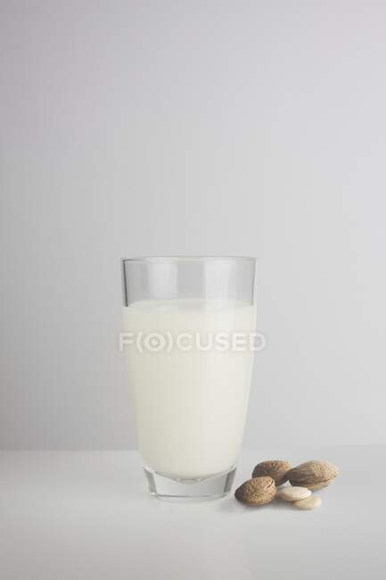 Склянка зі свіжого мигдалевого молока та мигдалю на звичайному фоні, студійний знімок . — стокове фото
