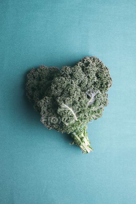Heart shaped kale leaves Brassica oleracea on blue background. — Stock Photo