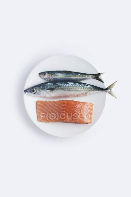 Макрель, лосось и сардина жирные рыбы на круглой тарелке . — стоковое фото