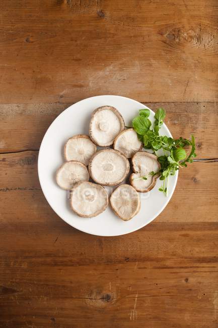 Верхний вид на тарелку шиитаке грибов Lentinula edodes . — стоковое фото