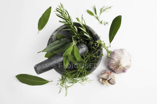 Mortar and pestle with garlic and herbs on white background. — Stock Photo
