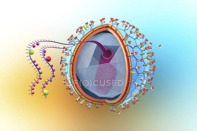Абстрактная структура вируса иммунодефицита человека, научная цифровая иллюстрация
. — стоковое фото