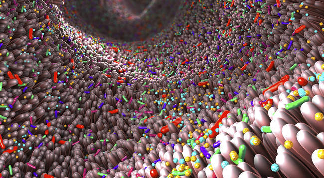 Мікробіота кишечника людини, абстрактна цифрова 3d ілюстрація . — стокове фото