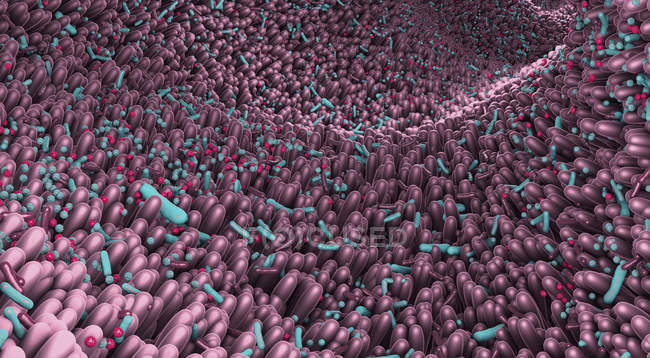 Microbiota del intestino humano, abstracto digital 3d ilustración . - foto de stock