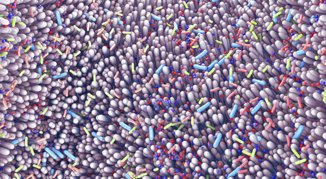 Microbiota of human intestine, abstract digital 3d illustration. — Stock Photo