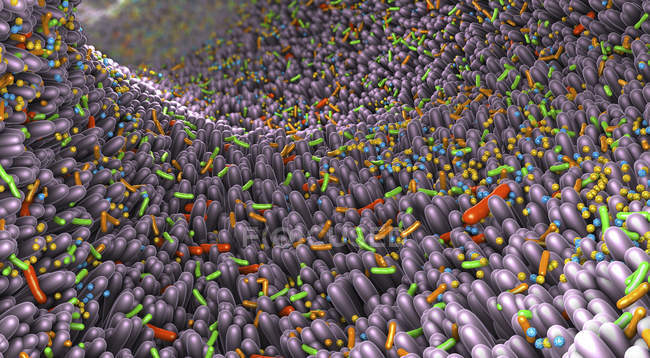 Mikrobiota des menschlichen Darms, abstrakte digitale 3D-Illustration. — Stockfoto