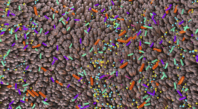 Microbiote de l'intestin humain, illustration 3D numérique abstraite . — Photo de stock