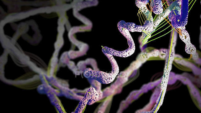 Abstrakte Proteinbildung, digitale Illustration. — Stockfoto