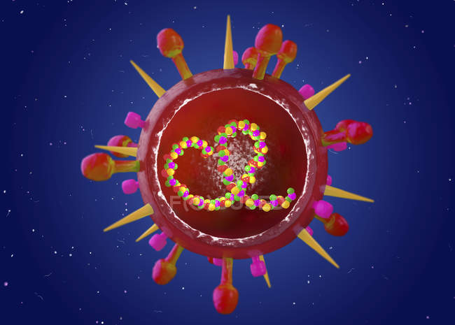 Абстрактна модель сезонного вірусу грипу B, концептуальна цифрова ілюстрація. — стокове фото