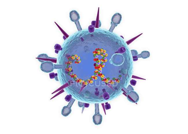 Modelo abstracto del virus de la gripe B estacional sobre fondo blanco, ilustración digital recortada
. - foto de stock
