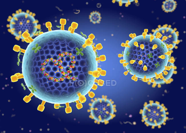 Структура вірусу грипу А, цифрова ілюстрація. — Stock Photo