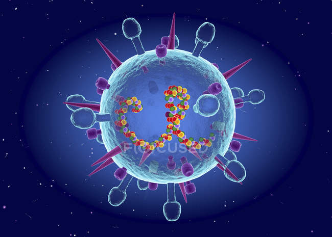 Modelo abstrato do vírus influenza B sazonal, ilustração digital conceitual . — Fotografia de Stock