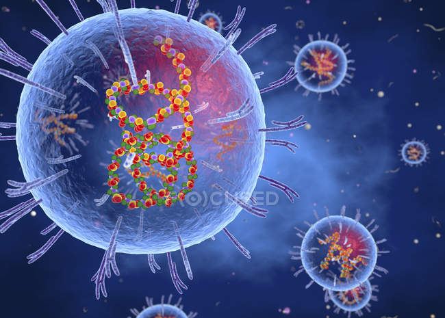 Partículas abstratas do vírus Lassa, ilustração digital conceitual
. — Fotografia de Stock