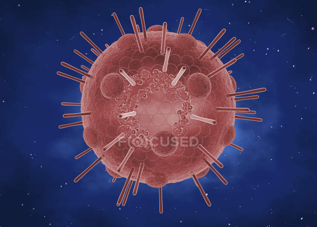 Influenza Myxovirus Partikel mit rna, 3D digitale Illustration. — Stockfoto