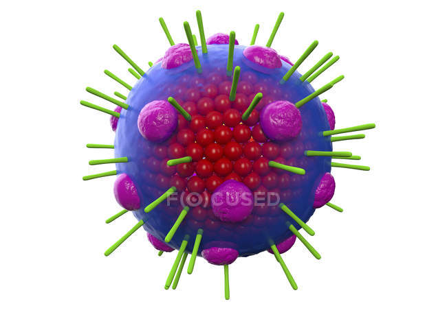 Partícula de mixovírus da gripe contendo RNA, ilustração digital 3d . — Fotografia de Stock