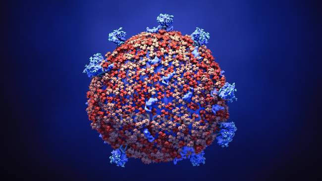 Цифрова ілюстрація абстрактної частинки коронавірусу. — Stock Photo