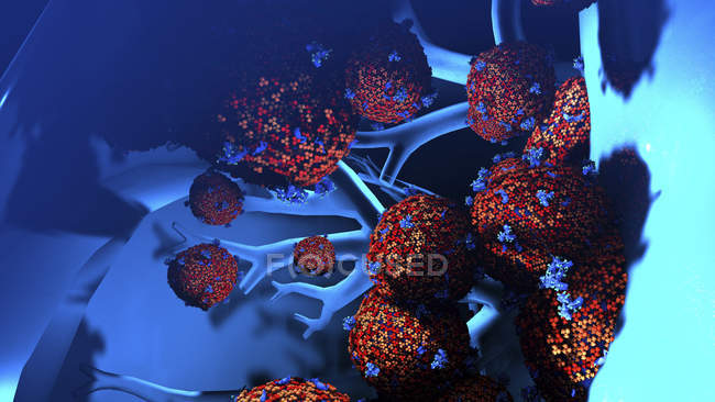 Illustrazione concettuale delle particelle di coronavirus nei polmoni umani . — Foto stock