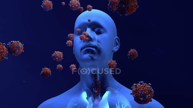 Концептуальная иллюстрация частиц коронавируса, поступающих в легкие человека . — стоковое фото