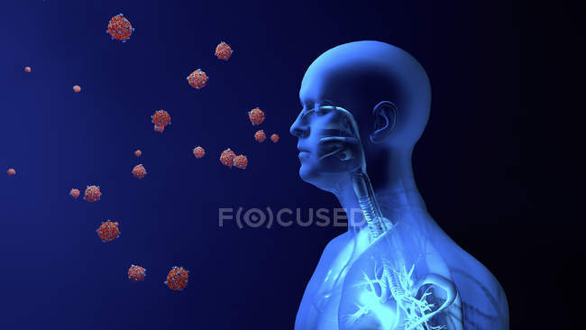 Illustration conceptuelle des particules de coronavirus pénétrant dans les poumons humains . — Photo de stock