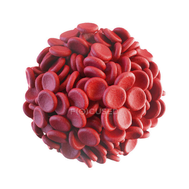 Red blood cells on white background, digital illustration. — Stock Photo