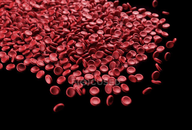 Красные кровяные тельца на черном фоне, цифровая иллюстрация
. — стоковое фото