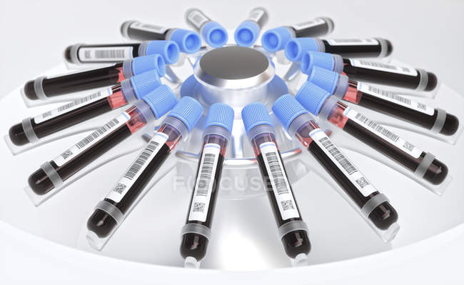 Centrifugar muestras de sangre en tubos de ensayo codificados con código de barras, ilustración digital
. - foto de stock