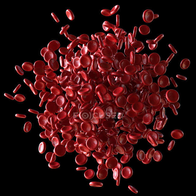 Red blood cells, computer illustration — Stock Photo