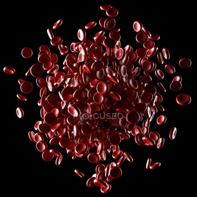 Red blood cells, computer illustration — hematology, haematology - Stock  Photo | #353362898