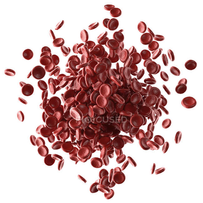 Globules rouges, illustration informatique — Photo de stock