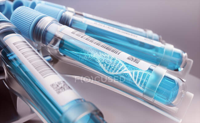 Investigación genética, ilustración conceptual. Molécula de ADN (ácido desoxirribonucleico) en tubos de muestra de sangre en una centrifugadora
. - foto de stock