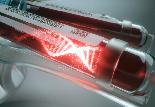 Recherche génétique, illustration conceptuelle. molécule d'ADN (acide désoxyribonucléique) dans les tubes de prélèvement sanguin d'une centrifugeuse
. — Photo de stock