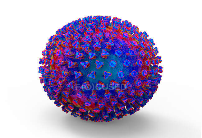 Flu viruses, computer illustration — Stock Photo
