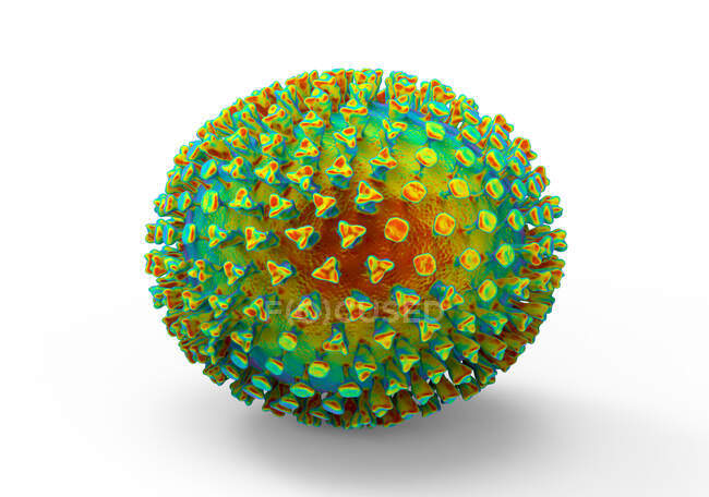 Віруси грипу, комп 