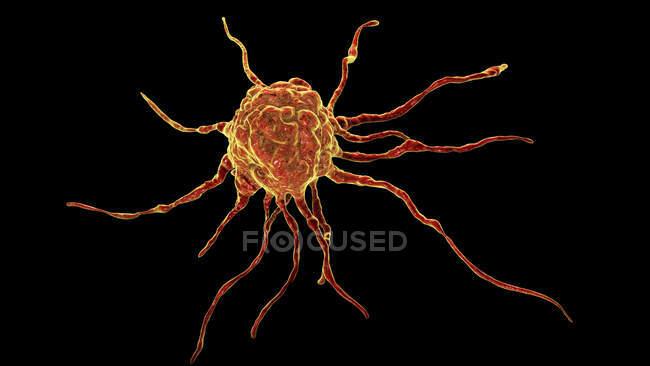 Cancer cell, computer illustration — Stock Photo