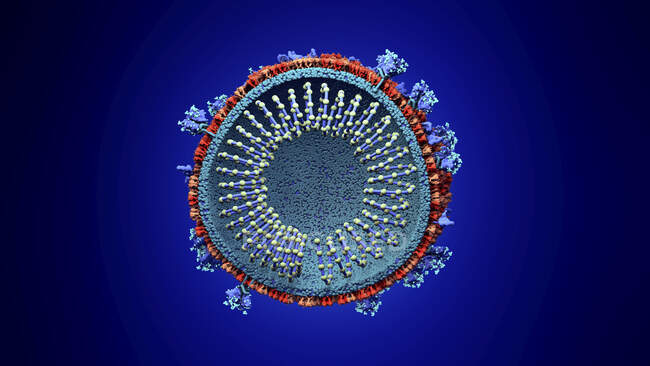 Coronavirus particle, computer illustration — Stock Photo