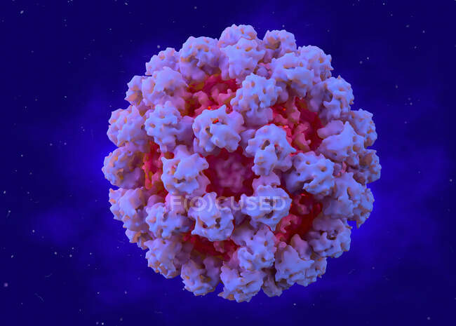 Norovirus, ilustración. Norovirus es un género de virus ARN que causa muchos casos de malestar estomacal. La enfermedad se caracteriza por náuseas, vómitos, diarrea y dolor abdominal. - foto de stock