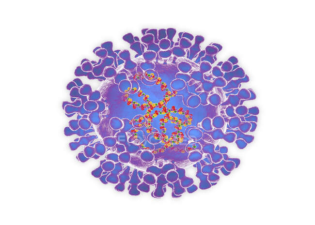 Virus della varicella, illustrazione del computer — Foto stock